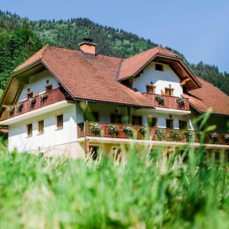 Na Logu - Farm Stay Ambroz Gregorc Solčava Kültér fotó