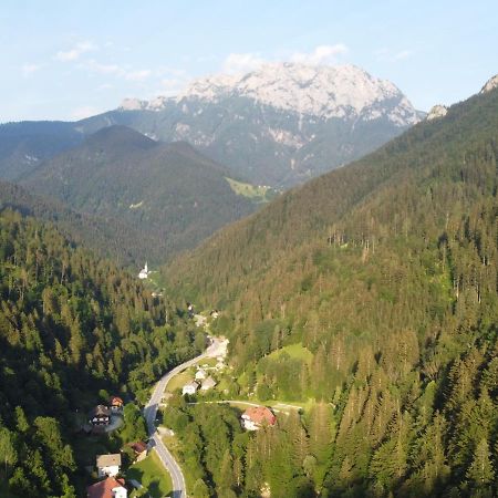 Na Logu - Farm Stay Ambroz Gregorc Solčava Kültér fotó