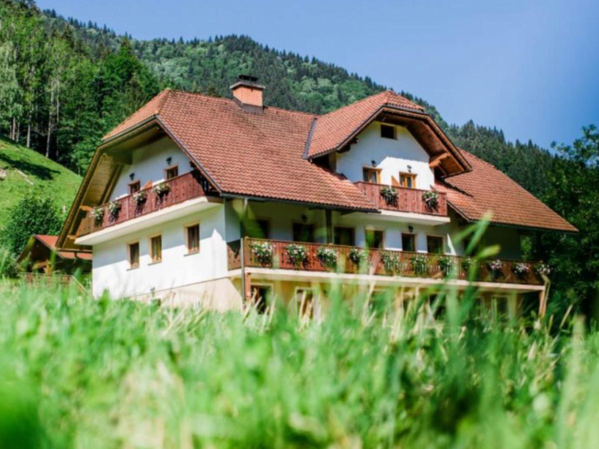 Na Logu - Farm Stay Ambroz Gregorc Solčava Kültér fotó