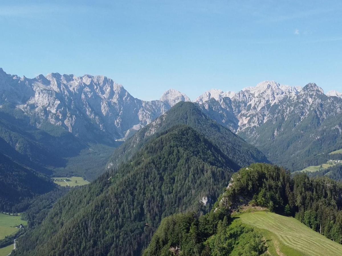 Na Logu - Farm Stay Ambroz Gregorc Solčava Kültér fotó