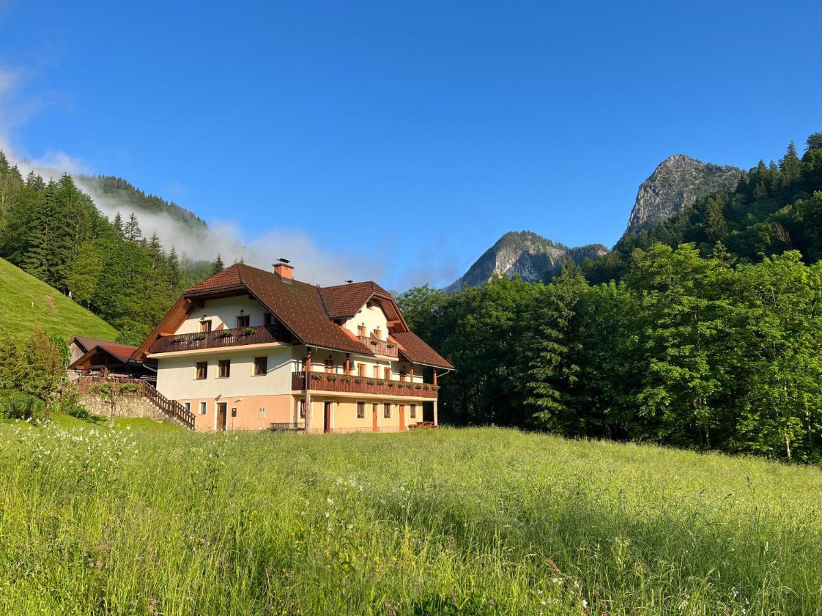 Na Logu - Farm Stay Ambroz Gregorc Solčava Kültér fotó