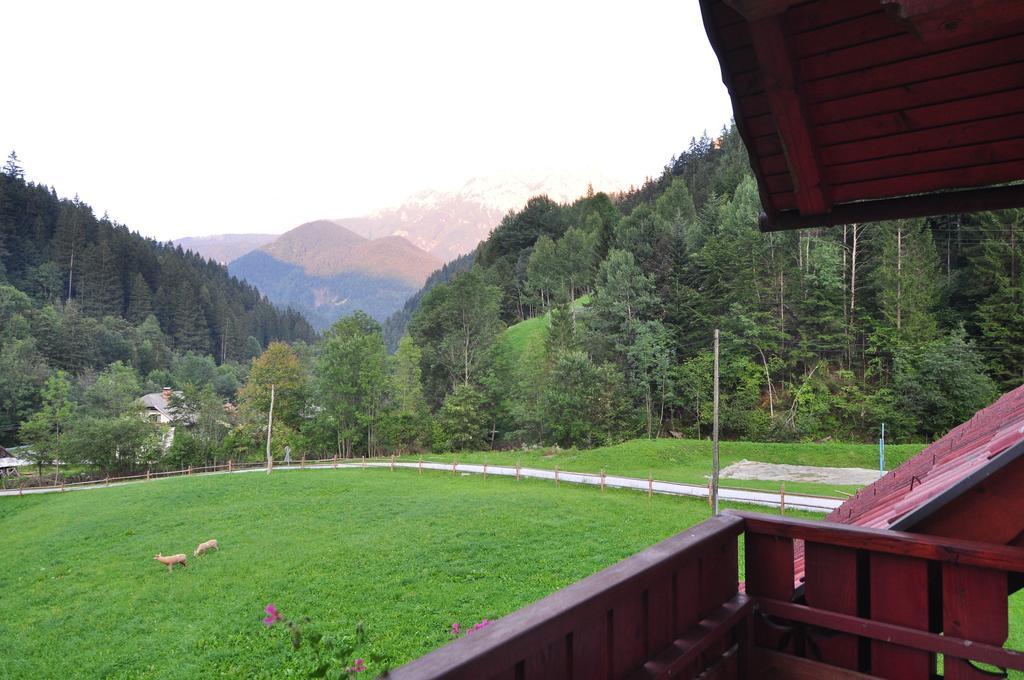 Na Logu - Farm Stay Ambroz Gregorc Solčava Szoba fotó