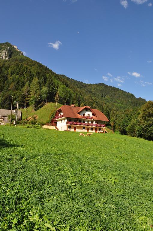 Na Logu - Farm Stay Ambroz Gregorc Solčava Kültér fotó