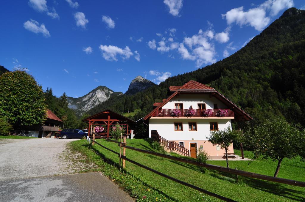 Na Logu - Farm Stay Ambroz Gregorc Solčava Kültér fotó